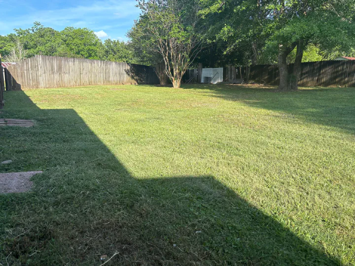Same fenced backyard after mowing — even, freshly cut lawn with mower-shadow stripes visible from fence to fence