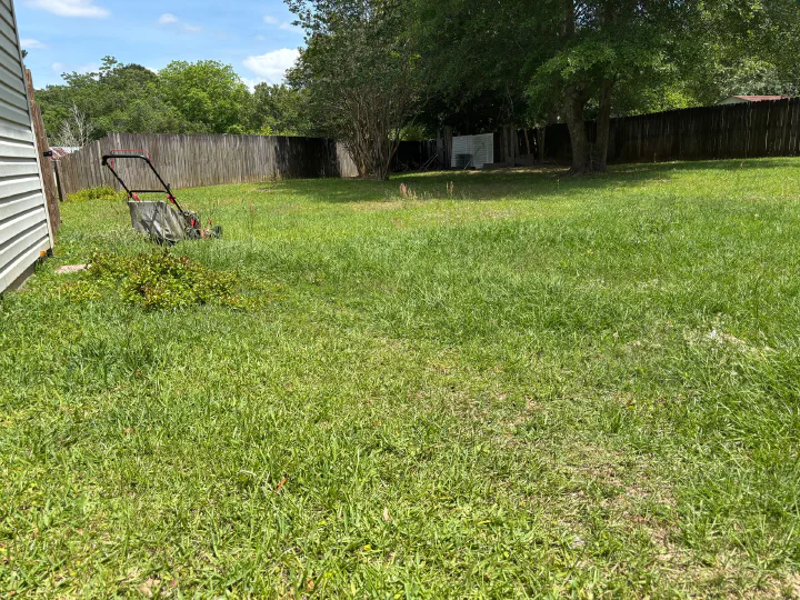 Fenced backyard before mowing — push mower staged in shaggy, uneven grass beside the house with weeds at the fence base